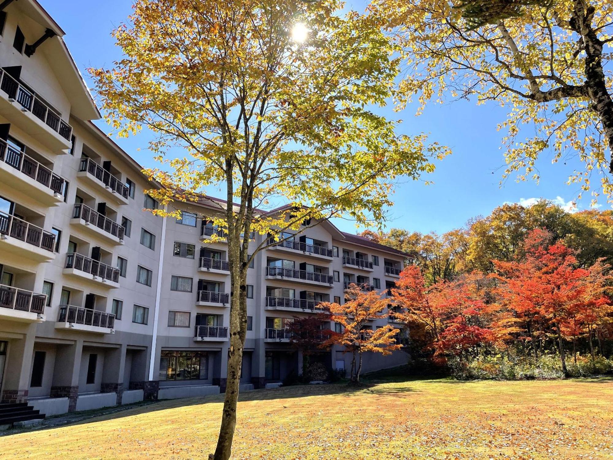 Hakuba Tokyu Hotel Nagano Buitenkant foto
